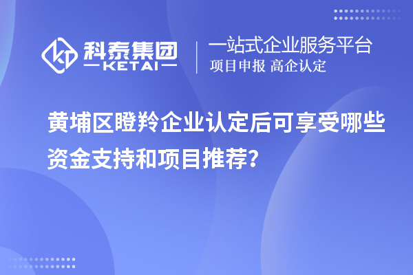 黃埔區(qū)瞪羚企業(yè)認定后可享受哪些資金支持和項目推薦？