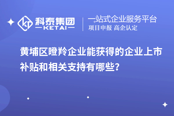黃埔區(qū)瞪羚企業(yè)能獲得的企業(yè)上市補貼和相關(guān)支持有哪些？