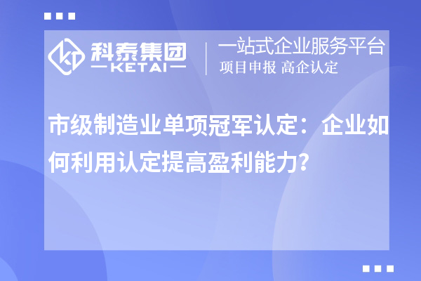 市級制造業(yè)單項冠軍認(rèn)定：企業(yè)如何利用認(rèn)定提高盈利能力？