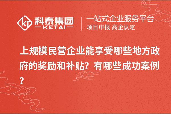 上規(guī)模民營(yíng)企業(yè)能享受哪些地方政府的獎(jiǎng)勵(lì)和補(bǔ)貼？有哪些成功案例？