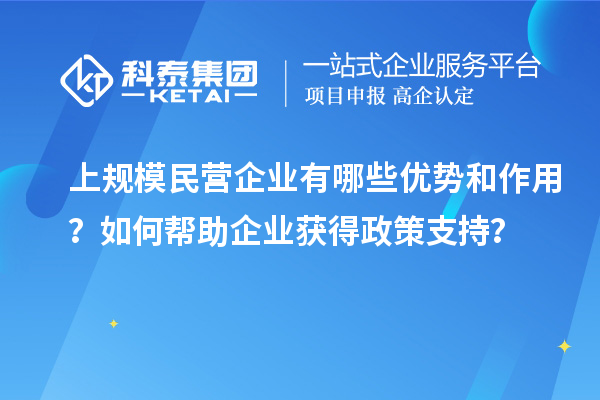 上規(guī)模民營企業(yè)有哪些優(yōu)勢和作用？如何幫助企業(yè)獲得政策支持？