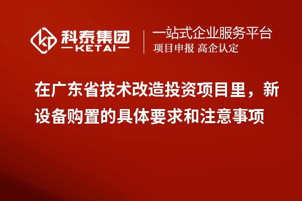 在廣東省技術(shù)改造投資項(xiàng)目里，新設(shè)備購(gòu)置的具體要求和注意事項(xiàng)