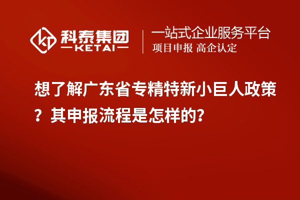 想了解廣東省專精特新小巨人政策？其申報流程是怎樣的？