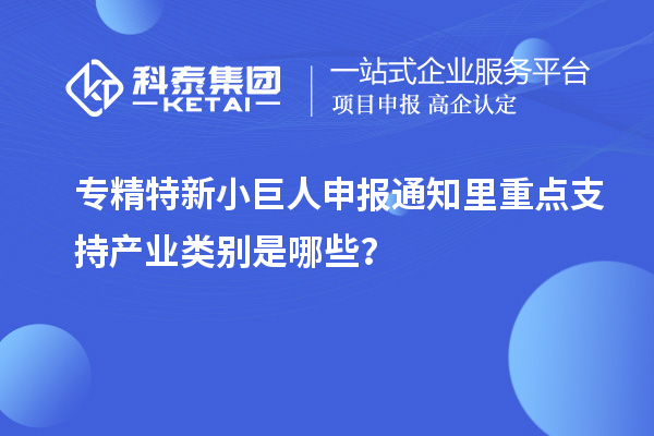 <a href=http://www.snjxsy.cn/fuwu/zhuanjingtexin.html target=_blank class=infotextkey>專精特新小巨人申報</a>通知里重點支持產業(yè)類別是哪些？