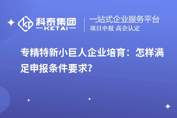 專精特新小巨人企業(yè)培育：怎樣滿足申報條件要求？