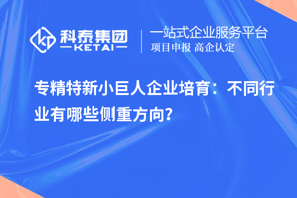 專精特新小巨人企業(yè)培育：不同行業(yè)有哪些側(cè)重方向？