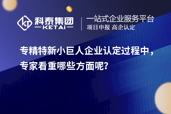 專精特新小巨人企業(yè)認(rèn)定過程中，專家看重哪些方面呢？