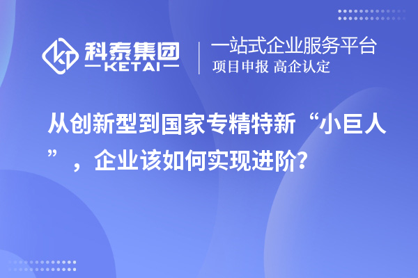從創(chuàng)新型到國(guó)家專(zhuān)精特新“小巨人”，企業(yè)該如何實(shí)現(xiàn)進(jìn)階？
