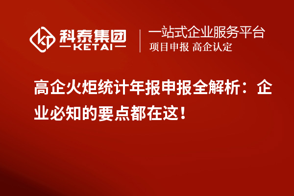 高企火炬統(tǒng)計年報申報全解析：企業(yè)必知的要點都在這！