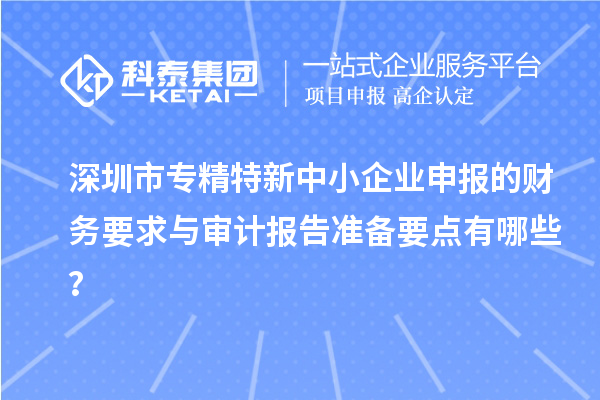 <a href=http://www.snjxsy.cn/shenzhen/ target=_blank class=infotextkey>深圳市專精特新</a>中小企業(yè)申報(bào)的財(cái)務(wù)要求與審計(jì)報(bào)告準(zhǔn)備要點(diǎn)有哪些？