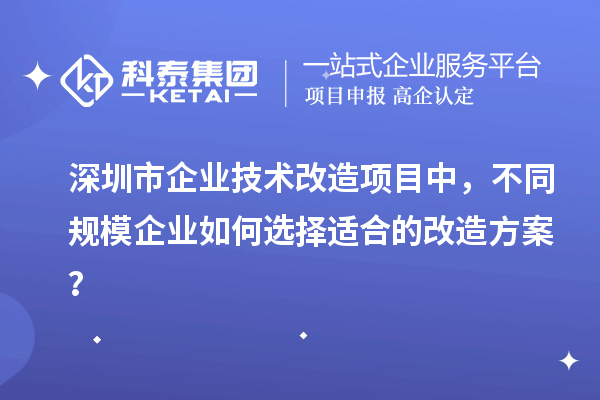 深圳市企業(yè)技術改造項目中，不同規(guī)模企業(yè)如何選擇適合的改造方案？