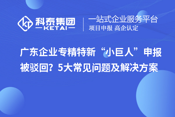 廣東企業(yè)專精特新“小巨人”申報(bào)被駁回？5大常見問題及解決方案