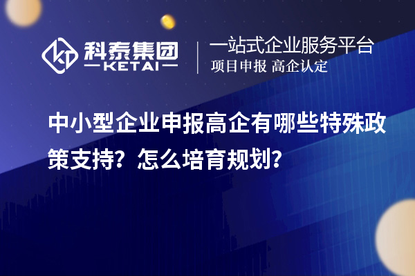 中小型企業(yè)申報(bào)高企有哪些特殊政策支持？怎么培育規(guī)劃？