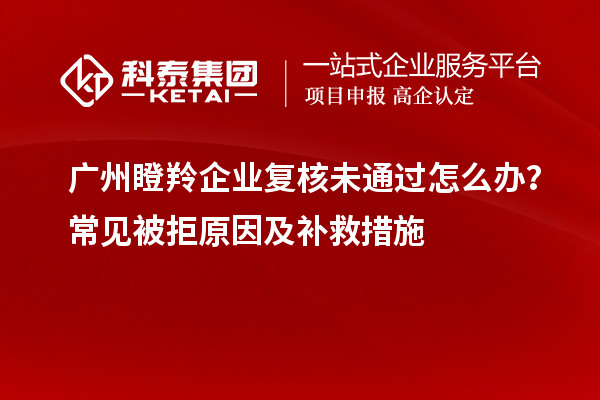 廣州瞪羚企業(yè)復(fù)核未通過怎么辦？常見被拒原因及補救措施