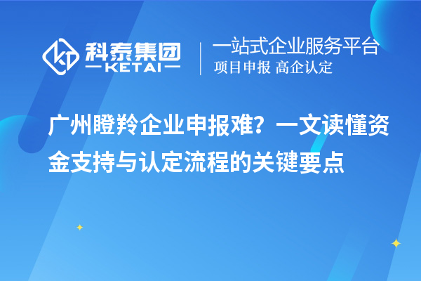 廣州瞪羚企業(yè)申報(bào)難？一文讀懂資金支持與認(rèn)定流程的關(guān)鍵要點(diǎn)
