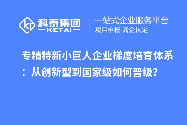 專精特新小巨人企業(yè)梯度培育體系：從創(chuàng)新型到國家級(jí)如何晉級(jí)？