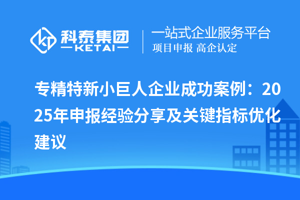 專精特新小巨人企業(yè)成功案例：2025 年申報經驗分享及關鍵指標優(yōu)化建議