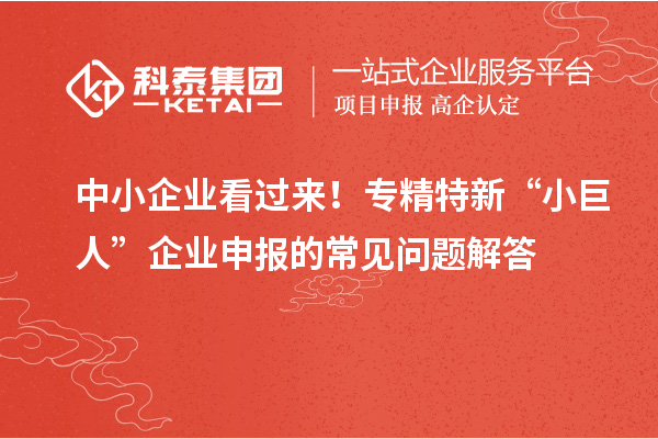 中小企業(yè)看過(guò)來(lái)！專精特新 “小巨人” 企業(yè)申報(bào)的常見(jiàn)問(wèn)題解答