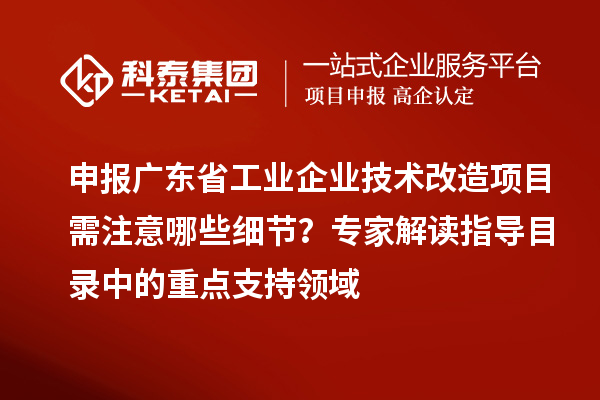 申報(bào)廣東省工業(yè)企業(yè)技術(shù)改造項(xiàng)目需注意哪些細(xì)節(jié)？專家解讀指導(dǎo)目錄中的重點(diǎn)支持領(lǐng)域