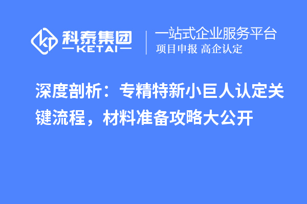 深度剖析：專精特新小巨人認(rèn)定關(guān)鍵流程，材料準(zhǔn)備攻略大公開(kāi)