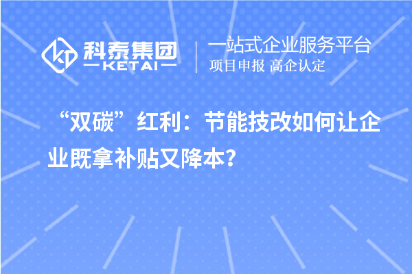 “雙碳”紅利：節(jié)能技改如何讓企業(yè)既拿補(bǔ)貼又降本？