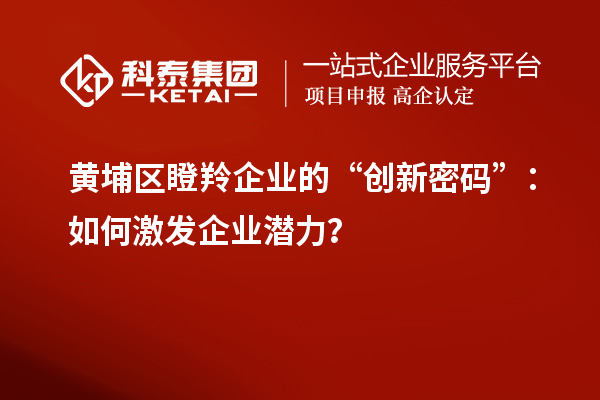 黃埔區(qū)瞪羚企業(yè)的“創(chuàng)新密碼”：如何激發(fā)企業(yè)潛力？