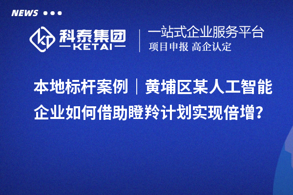 本地標(biāo)桿案例｜黃埔區(qū)某人工智能企業(yè)如何借助瞪羚計劃實現(xiàn)倍增？