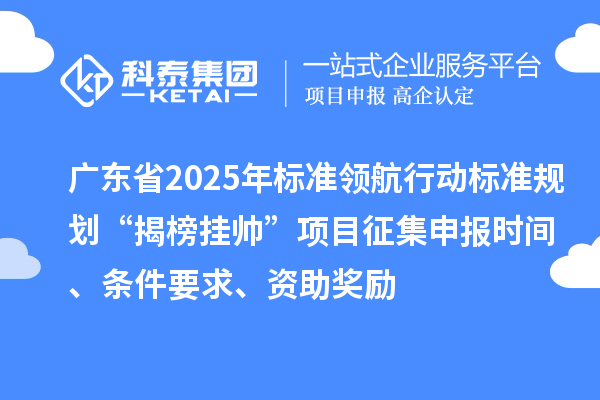 廣東省2025年標(biāo)準(zhǔn)領(lǐng)航行動(dòng)標(biāo)準(zhǔn)規(guī)劃“揭榜掛帥”項(xiàng)目征集申報(bào)時(shí)間、條件要求、資助獎(jiǎng)勵(lì)