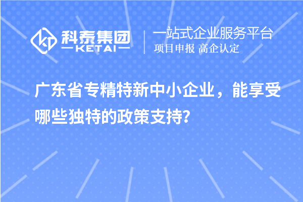 廣東省專精特新中小企業(yè)，能享受哪些獨(dú)特的政策支持？