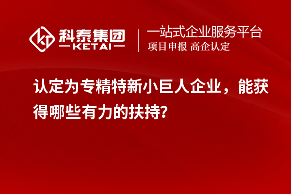 認定為專精特新小巨人企業(yè)，能獲得哪些有力的扶持？