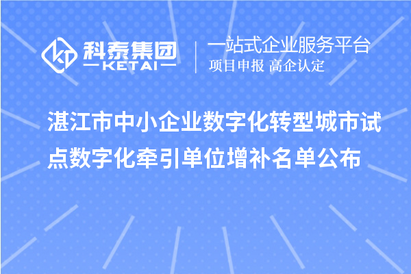 湛江市中小企業(yè)數(shù)字化轉型城市試點數(shù)字化牽引單位增補名單公布
