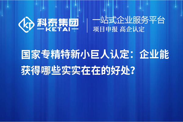 國家專精特新小巨人認(rèn)定：企業(yè)能獲得哪些實實在在的好處？