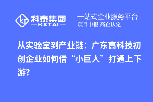 從實(shí)驗(yàn)室到產(chǎn)業(yè)鏈：廣東高科技初創(chuàng)企業(yè)如何借“小巨人”打通上下游？