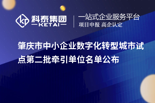 肇慶市中小企業(yè)數(shù)字化轉(zhuǎn)型城市試點(diǎn)第二批牽引單位名單公布