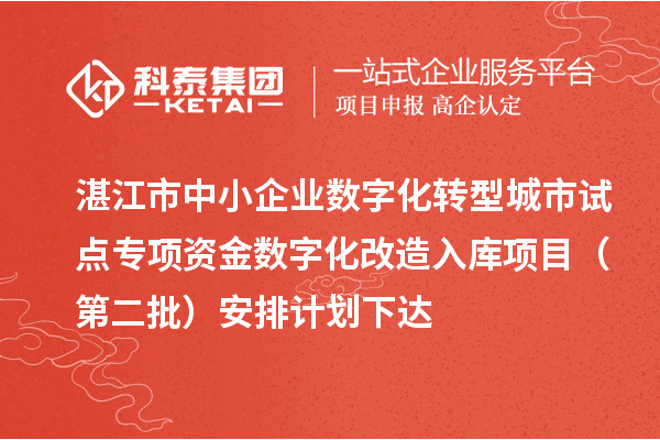 湛江市中小企業(yè)數(shù)字化轉(zhuǎn)型城市試點(diǎn)專項(xiàng)資金數(shù)字化改造入庫項(xiàng)目（第二批）安排計(jì)劃下達(dá)